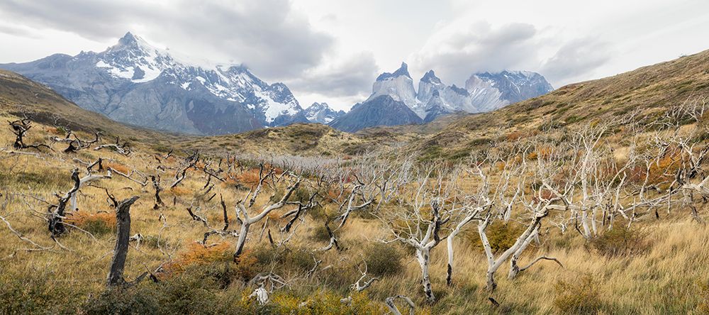 Patagonia Panorama III art print by Danny Head for $57.95 CAD