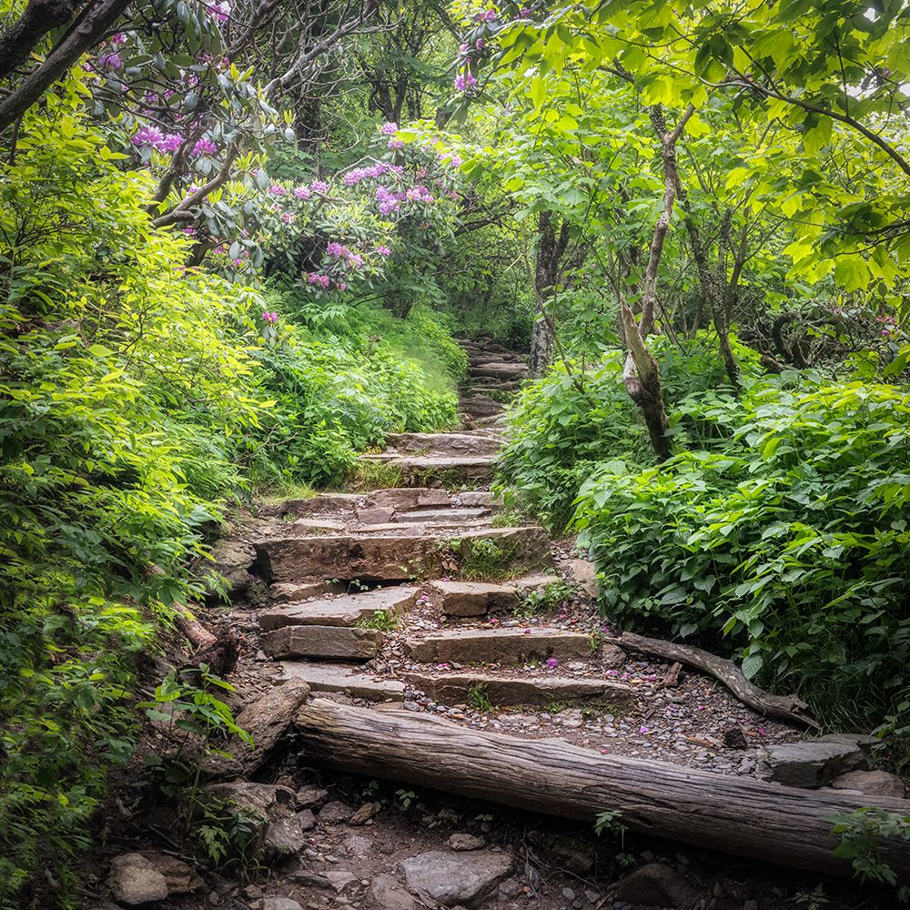 The Hike III art print by Danny Head for $57.95 CAD
