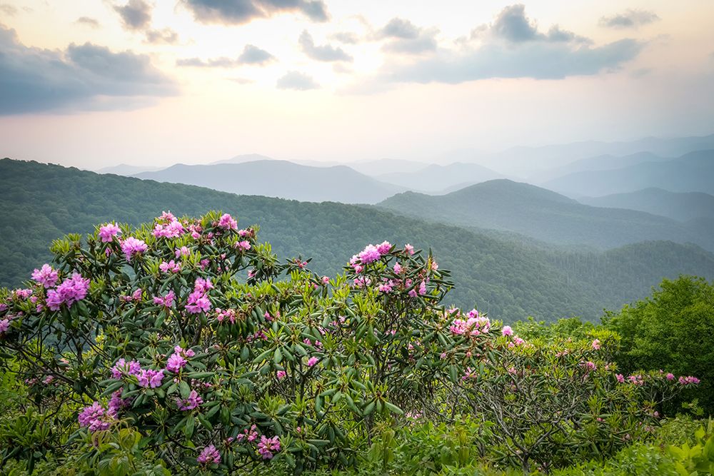 Parkway Spring II art print by Danny Head for $57.95 CAD