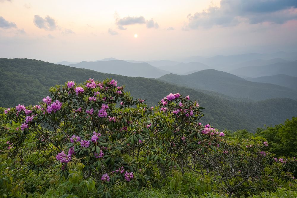 Parkway Spring IV art print by Danny Head for $57.95 CAD