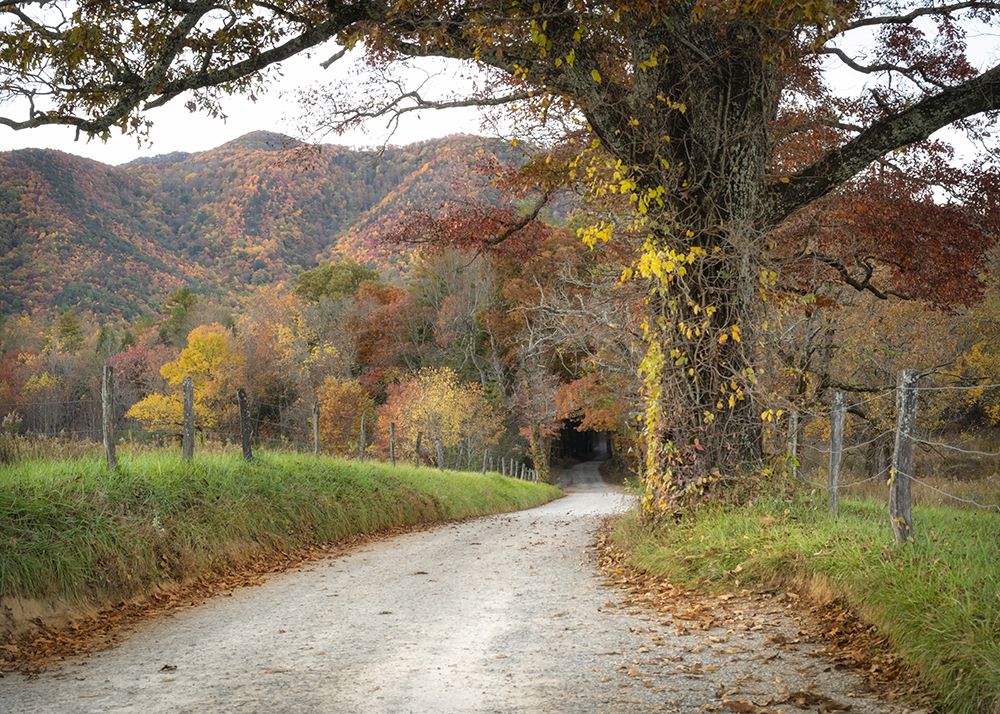 Gravel Road II art print by Danny Head for $57.95 CAD