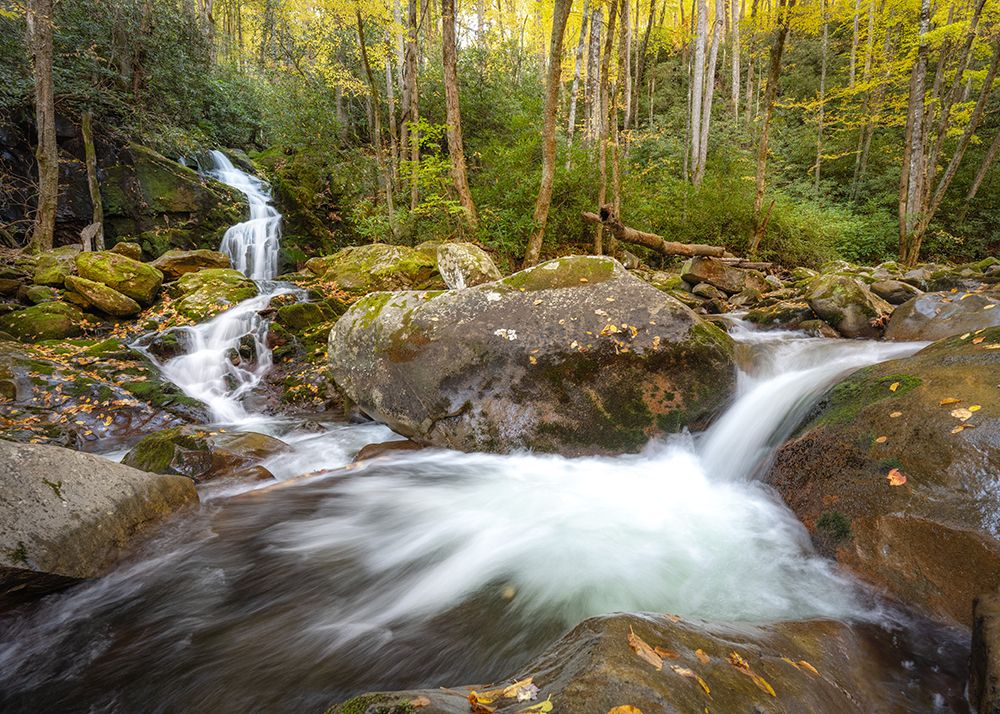 Mouse Creek I art print by Danny Head for $57.95 CAD