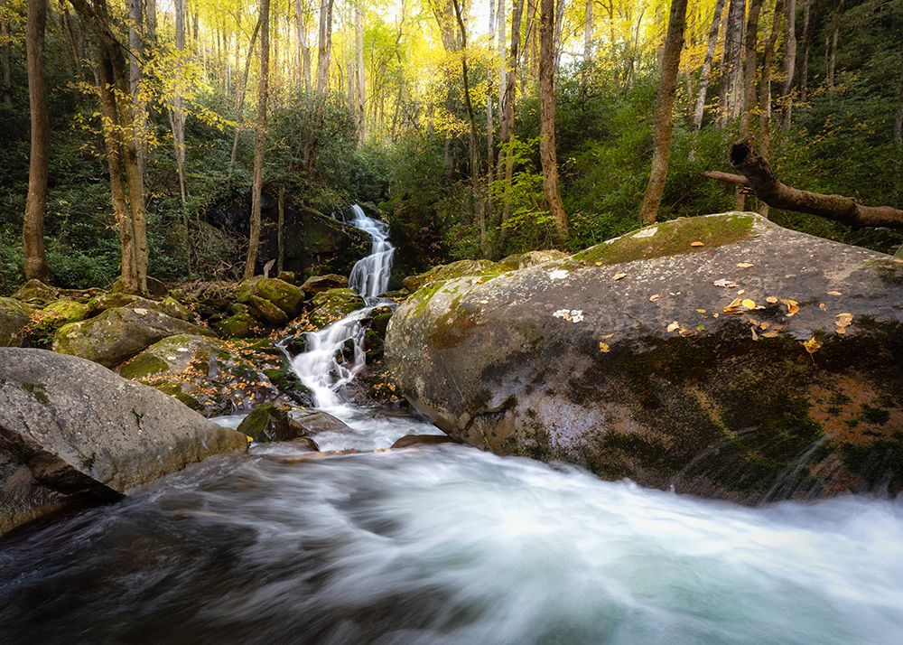 Mouse Creek II art print by Danny Head for $57.95 CAD