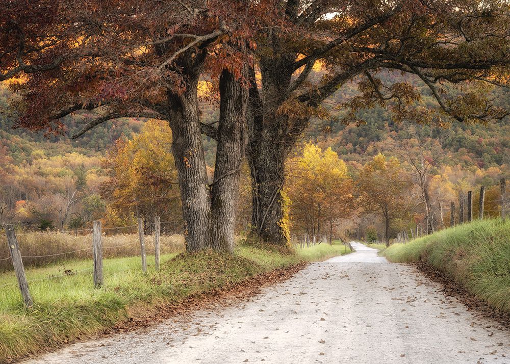 Gravel Road II art print by Danny Head for $57.95 CAD