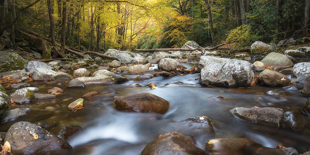 Down Stream I art print by Danny Head for $57.95 CAD