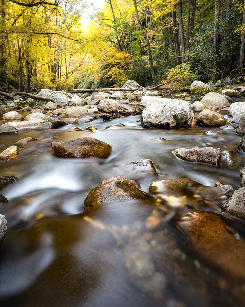 Down Stream II art print by Danny Head for $57.95 CAD