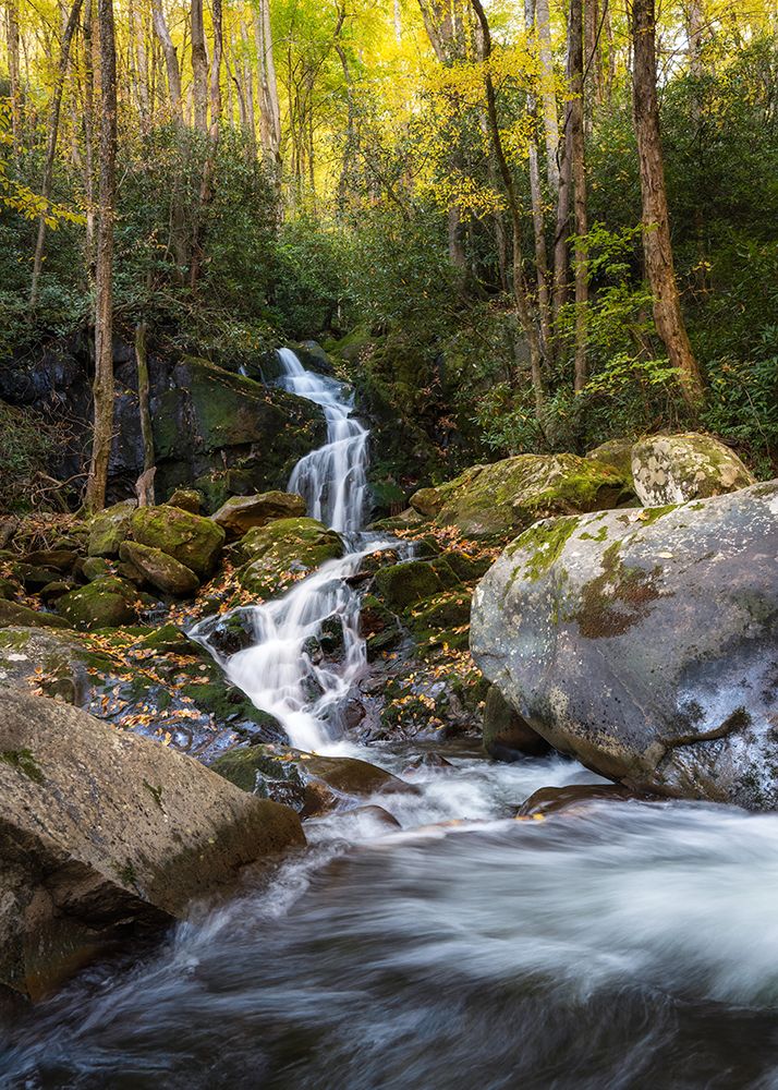 Mouse Creek III art print by Danny Head for $57.95 CAD
