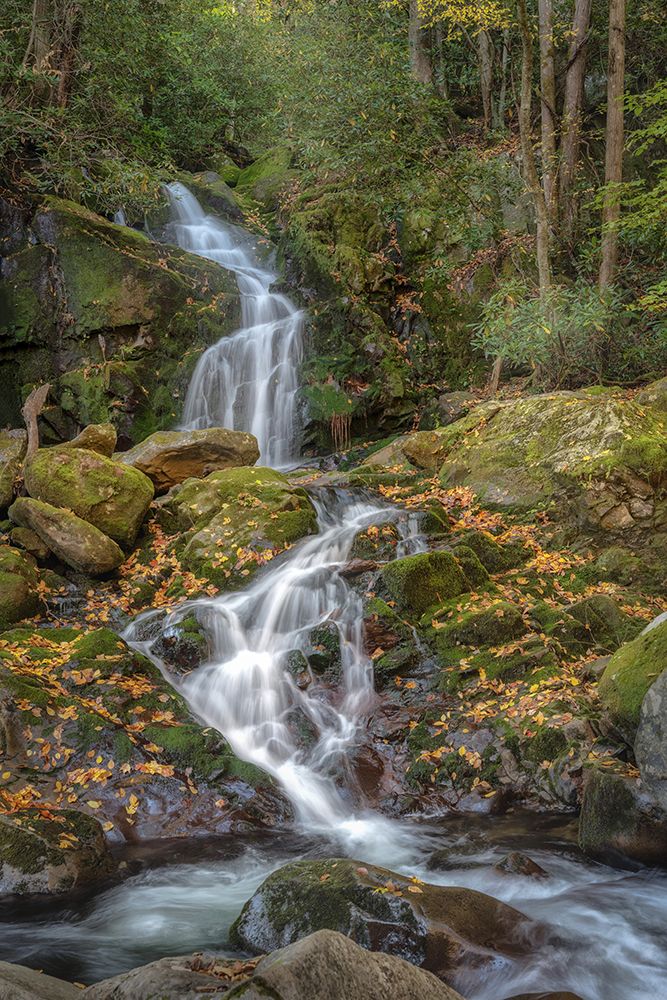 Mouse Creek art print by Danny Head for $57.95 CAD