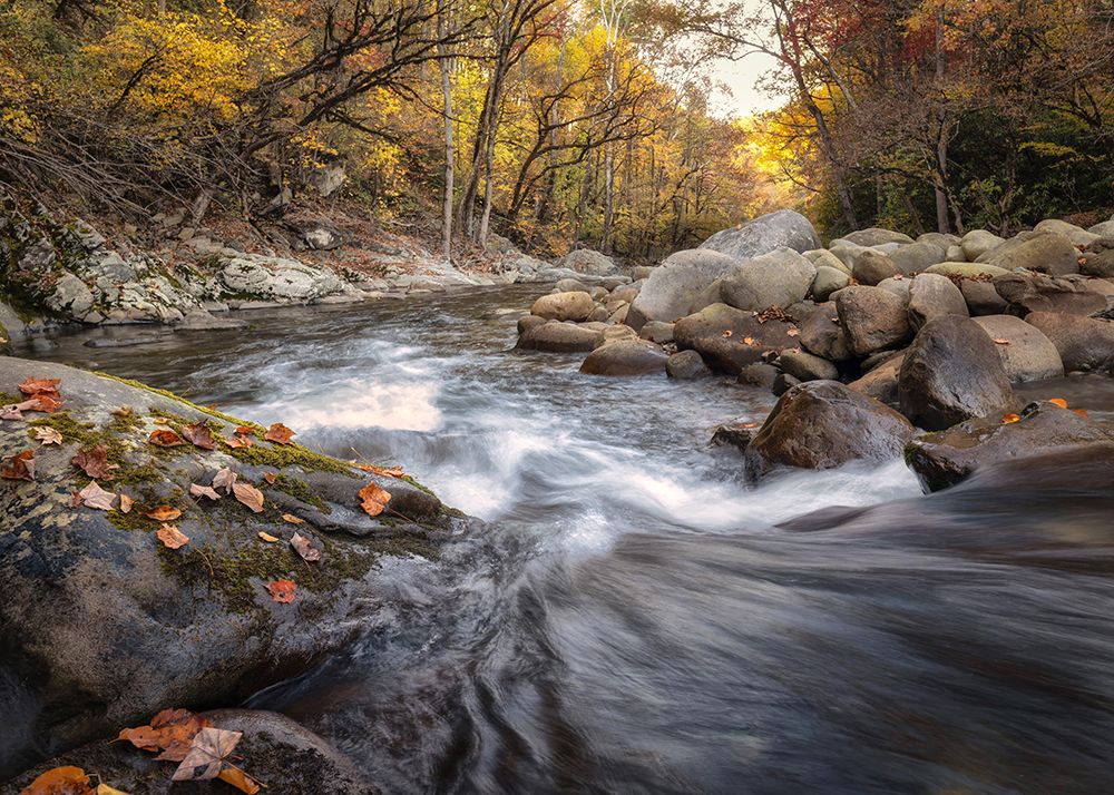Greenbrier Downstream art print by Danny Head for $57.95 CAD