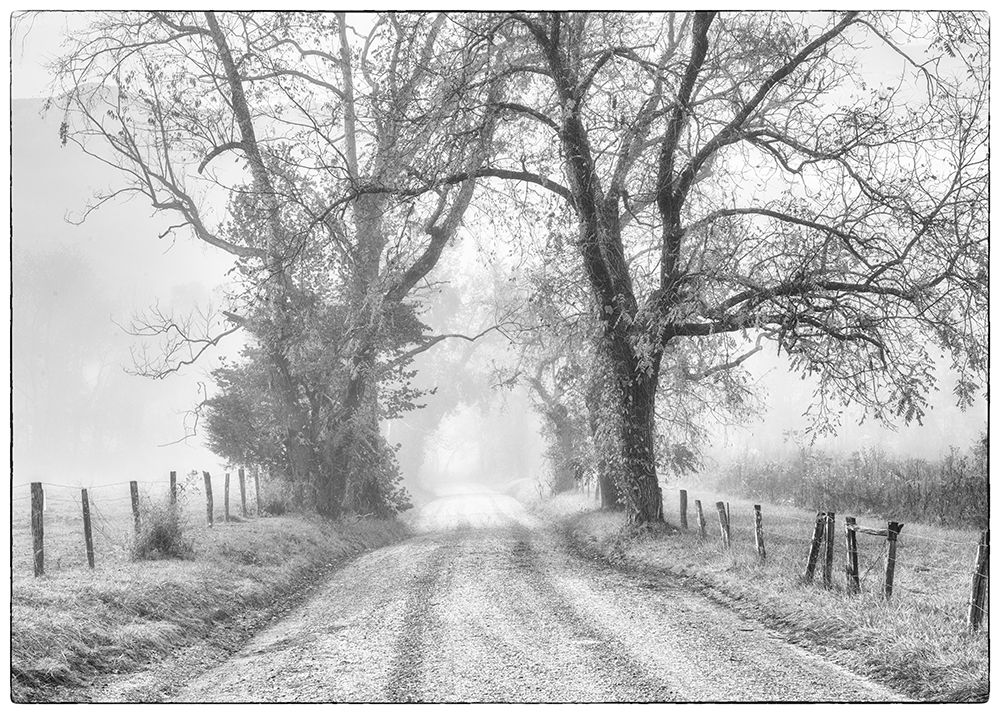 Sparks Lane Classic art print by Danny Head for $57.95 CAD