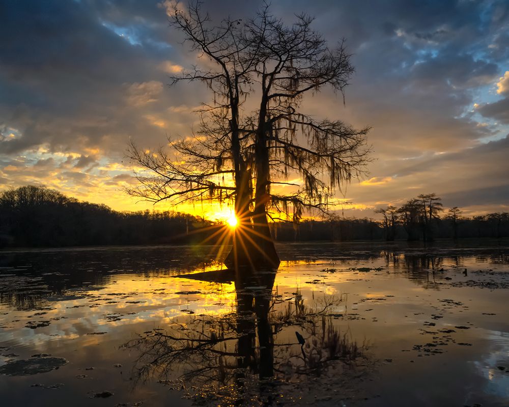 Bayou Sunrise I art print by Danny Head for $57.95 CAD