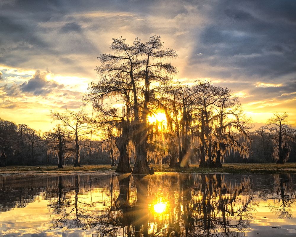 Rise and Shine by Danny Head