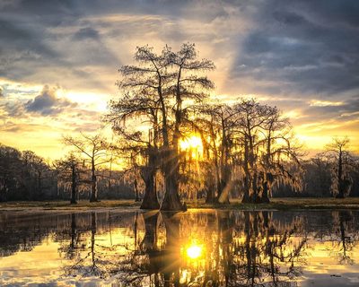 Rise and Shine by Danny Head