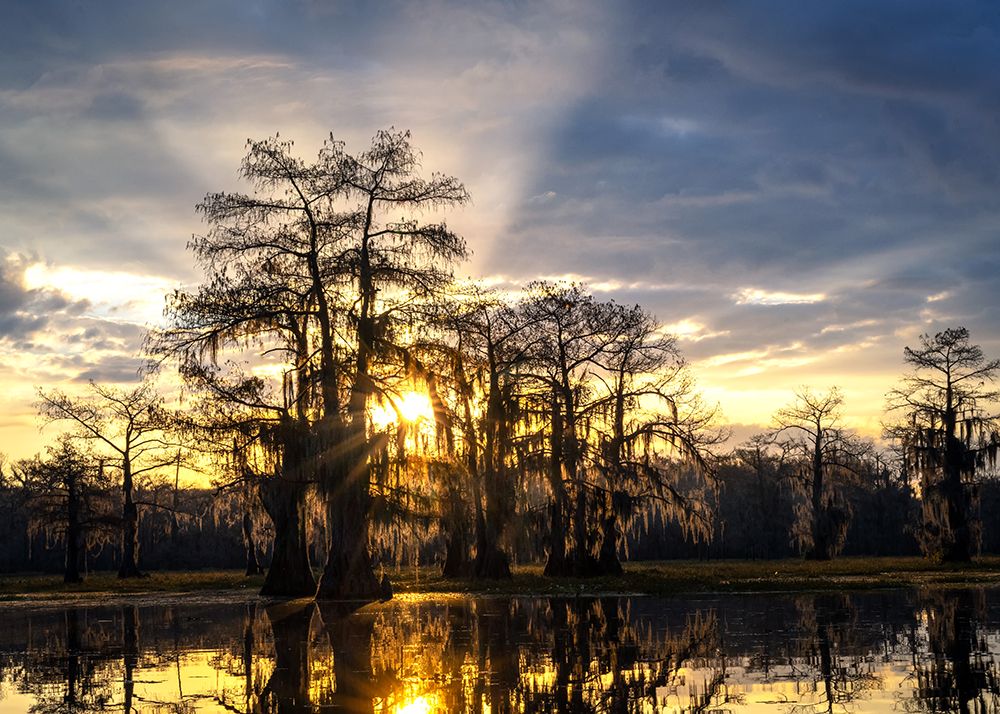 Deep South Sunrise art print by Danny Head for $57.95 CAD