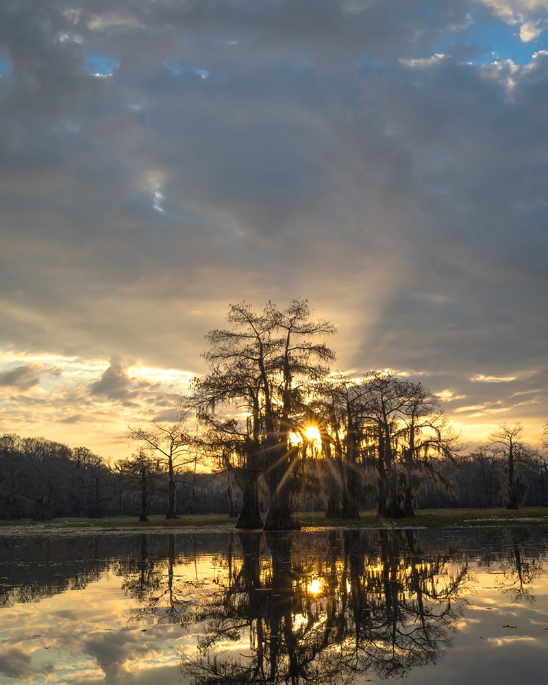Bayou Sunrise II art print by Danny Head for $57.95 CAD