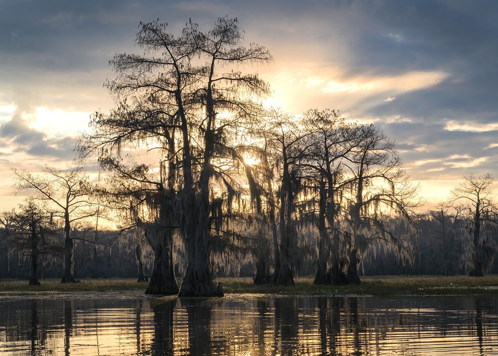 Bayou Sunrise III art print by Danny Head for $57.95 CAD