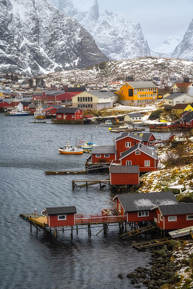 Colorful harbor art print by Danny Head for $57.95 CAD