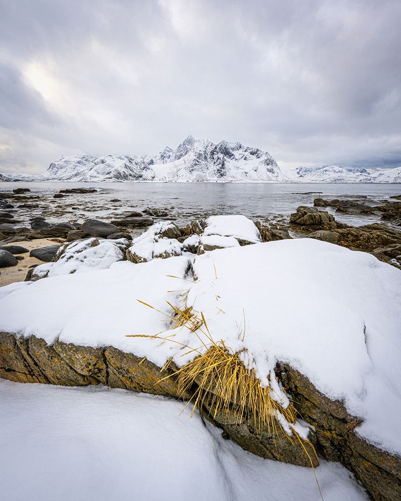 Straw and Snow art print by Danny Head for $57.95 CAD