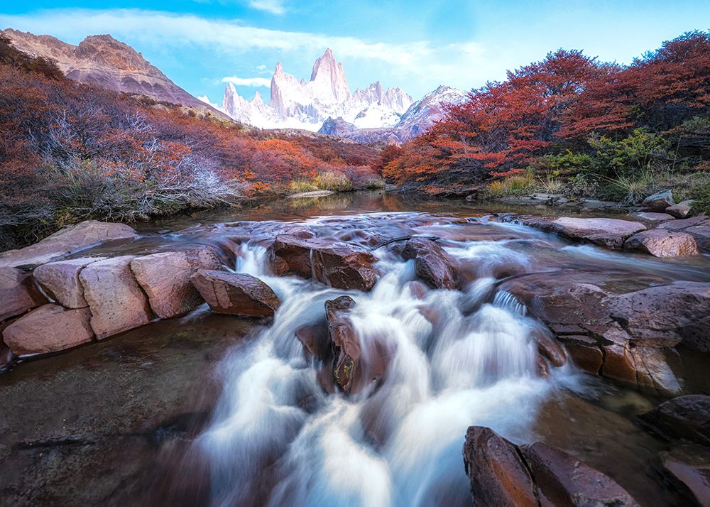 Red Autumn art print by Danny Head for $57.95 CAD