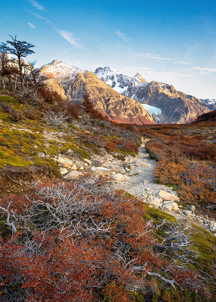 Hike to Fitz Roy II art print by Danny Head for $57.95 CAD