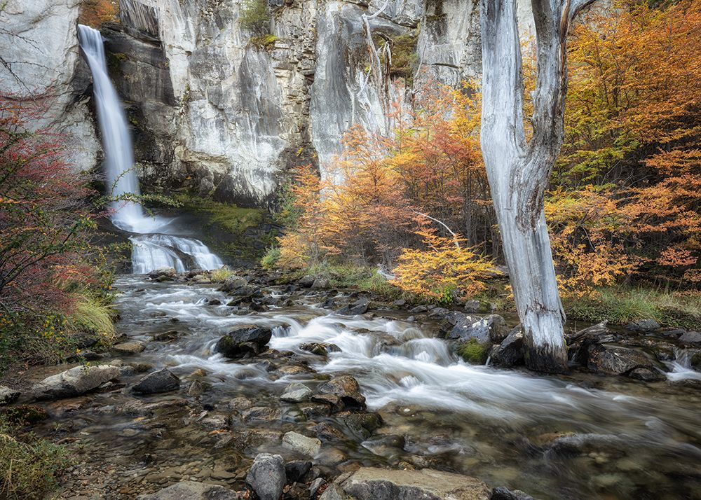 Falls at El Chaten II art print by Danny Head for $57.95 CAD