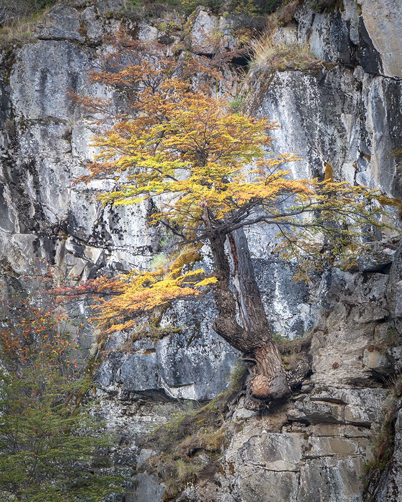 Cliff Hanger art print by Danny Head for $57.95 CAD