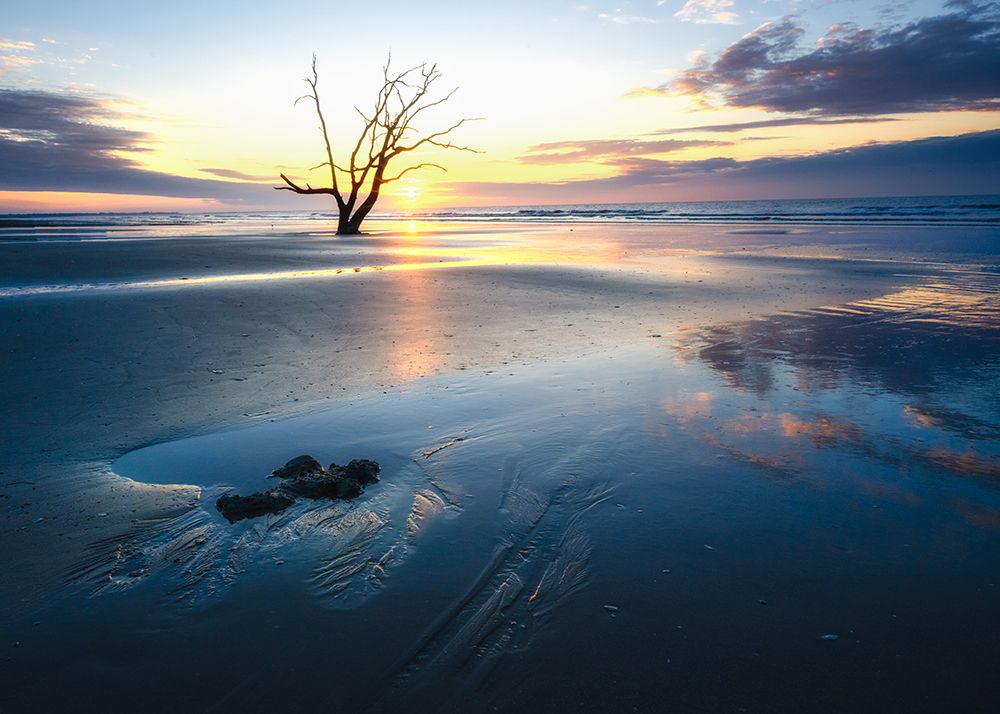 Morning Shine art print by Danny Head for $57.95 CAD