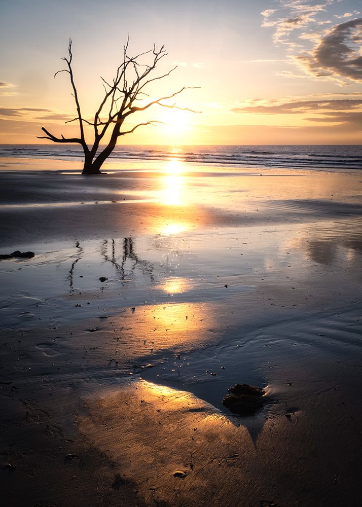 Sunrise Glow II art print by Danny Head for $57.95 CAD