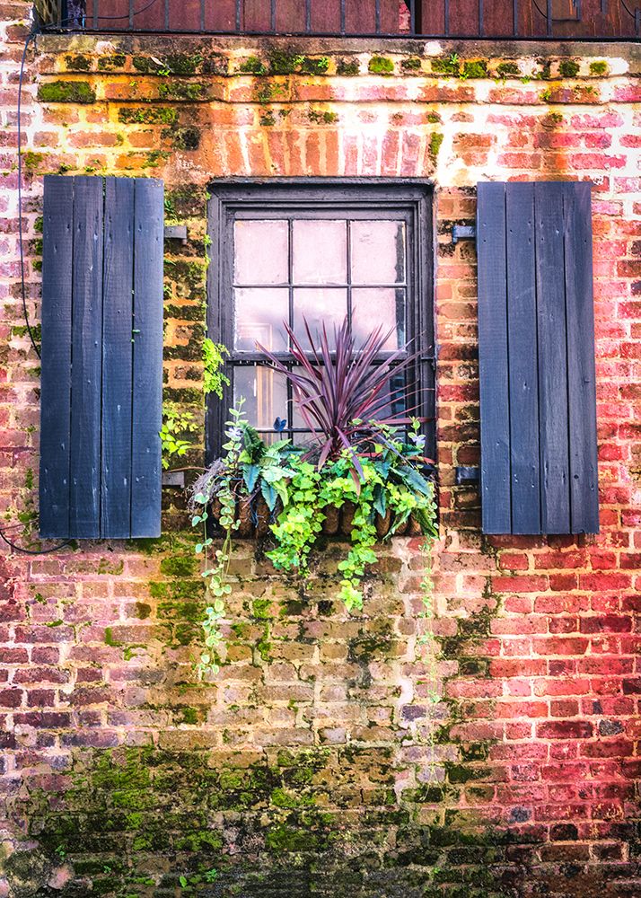 Window Box art print by Danny Head for $57.95 CAD