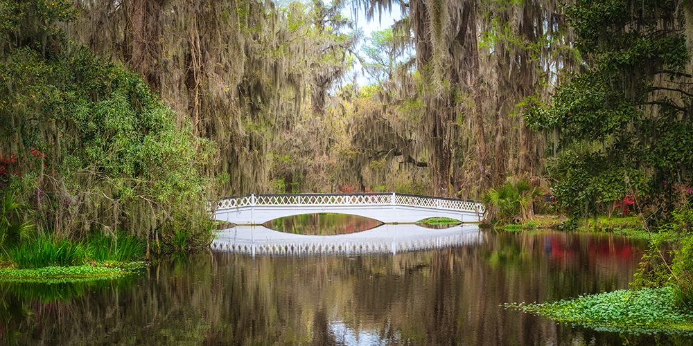 White Bridge art print by Danny Head for $57.95 CAD