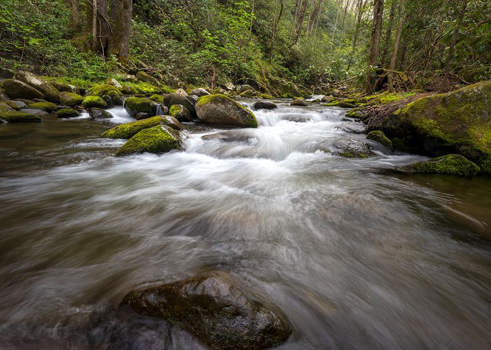 Greenway Flow art print by Danny Head for $57.95 CAD