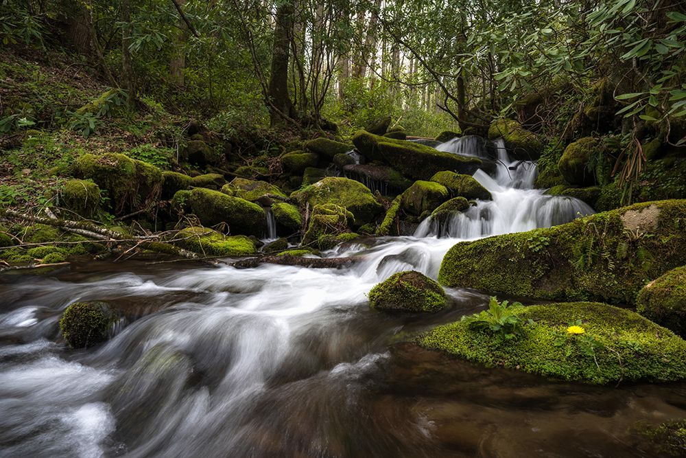Flowing Left art print by Danny Head for $57.95 CAD