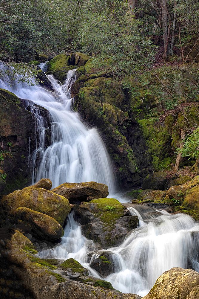 Mouse Creek Panorama art print by Danny Head for $57.95 CAD