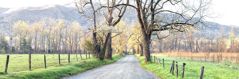 Sparks Lane Panorama art print by Danny Head for $57.95 CAD