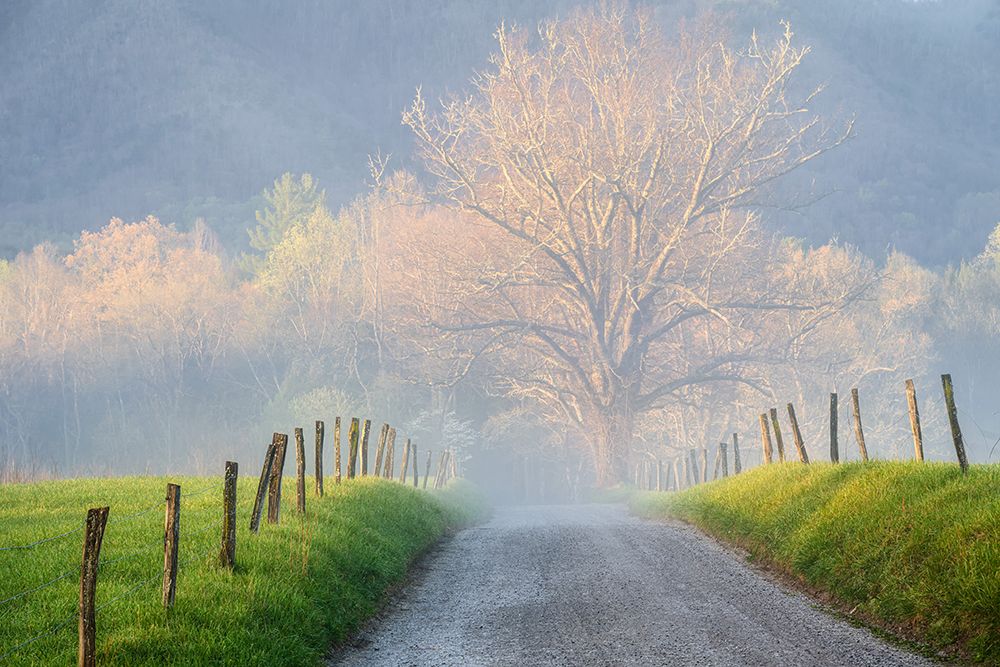 A Spring Morning art print by Danny Head for $57.95 CAD
