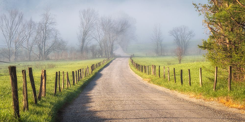 Fog on Hyatt lane art print by Danny Head for $57.95 CAD
