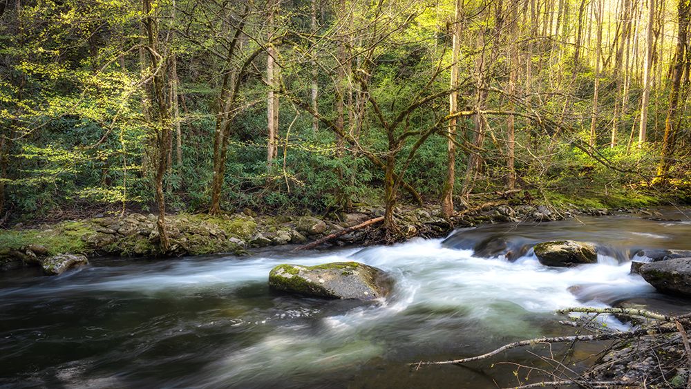 Tremont Bottoms art print by Danny Head for $57.95 CAD