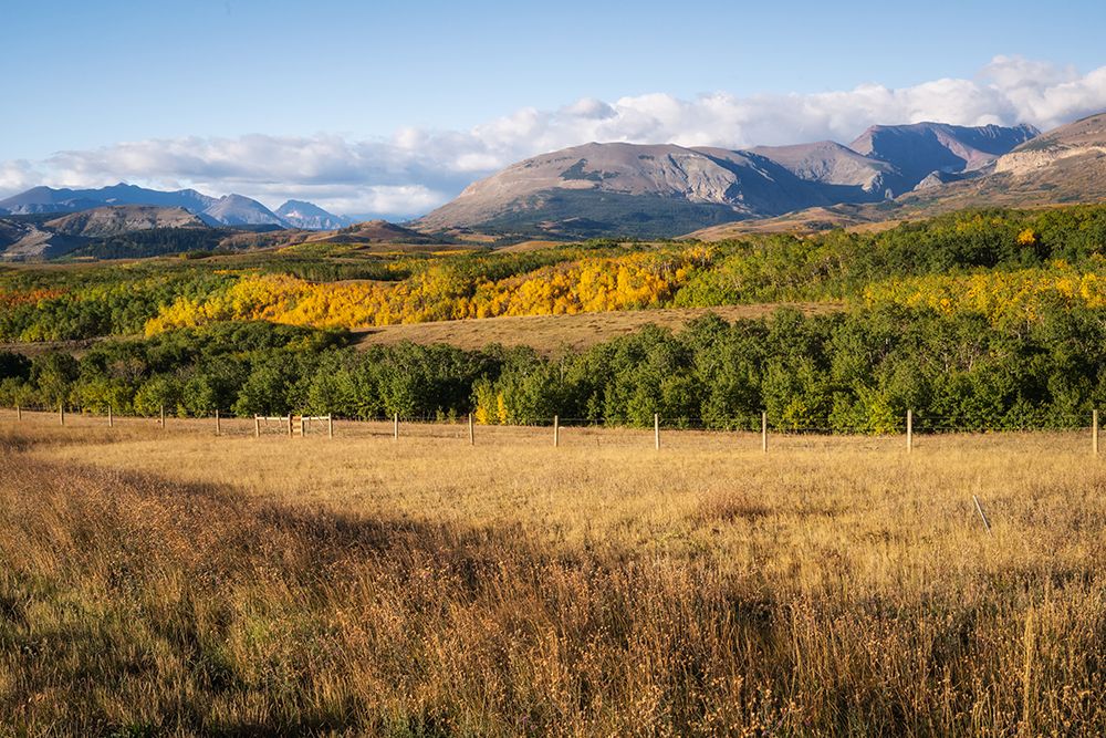 Foothills art print by Danny Head for $57.95 CAD