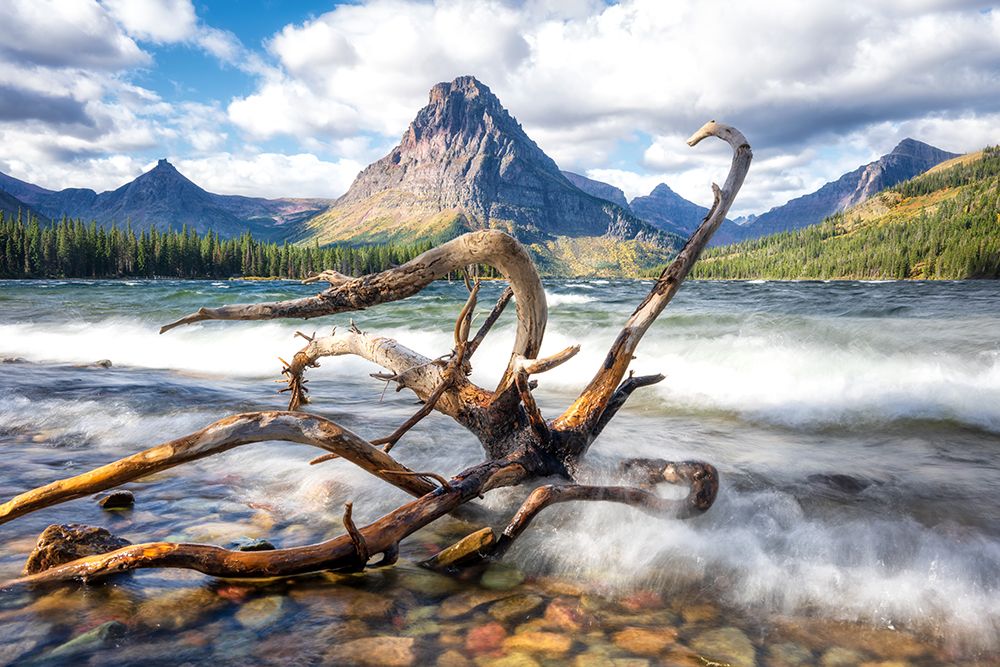 Gusting Winds art print by Danny Head for $57.95 CAD