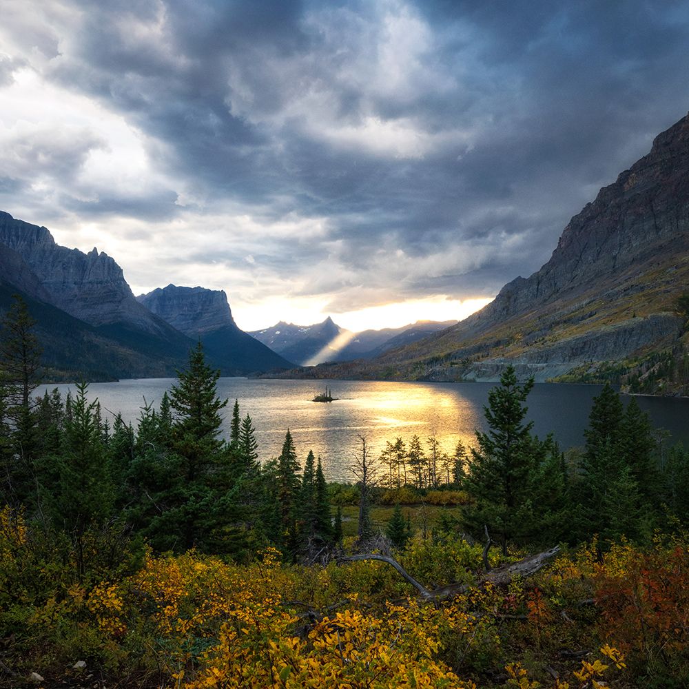Beaming art print by Danny Head for $57.95 CAD