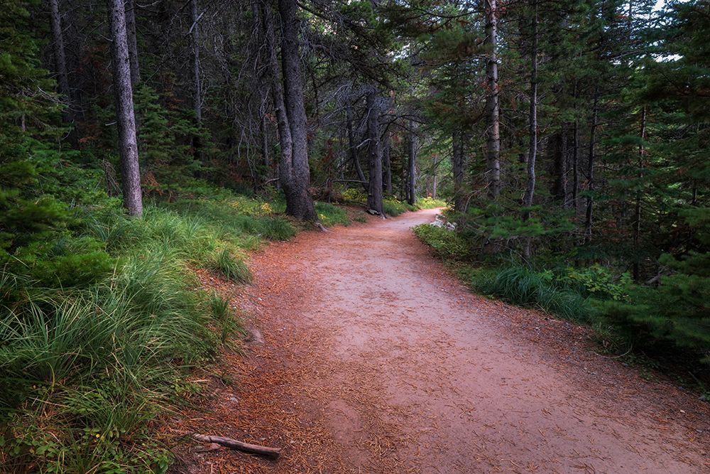 Inviting Trail art print by Danny Head for $57.95 CAD