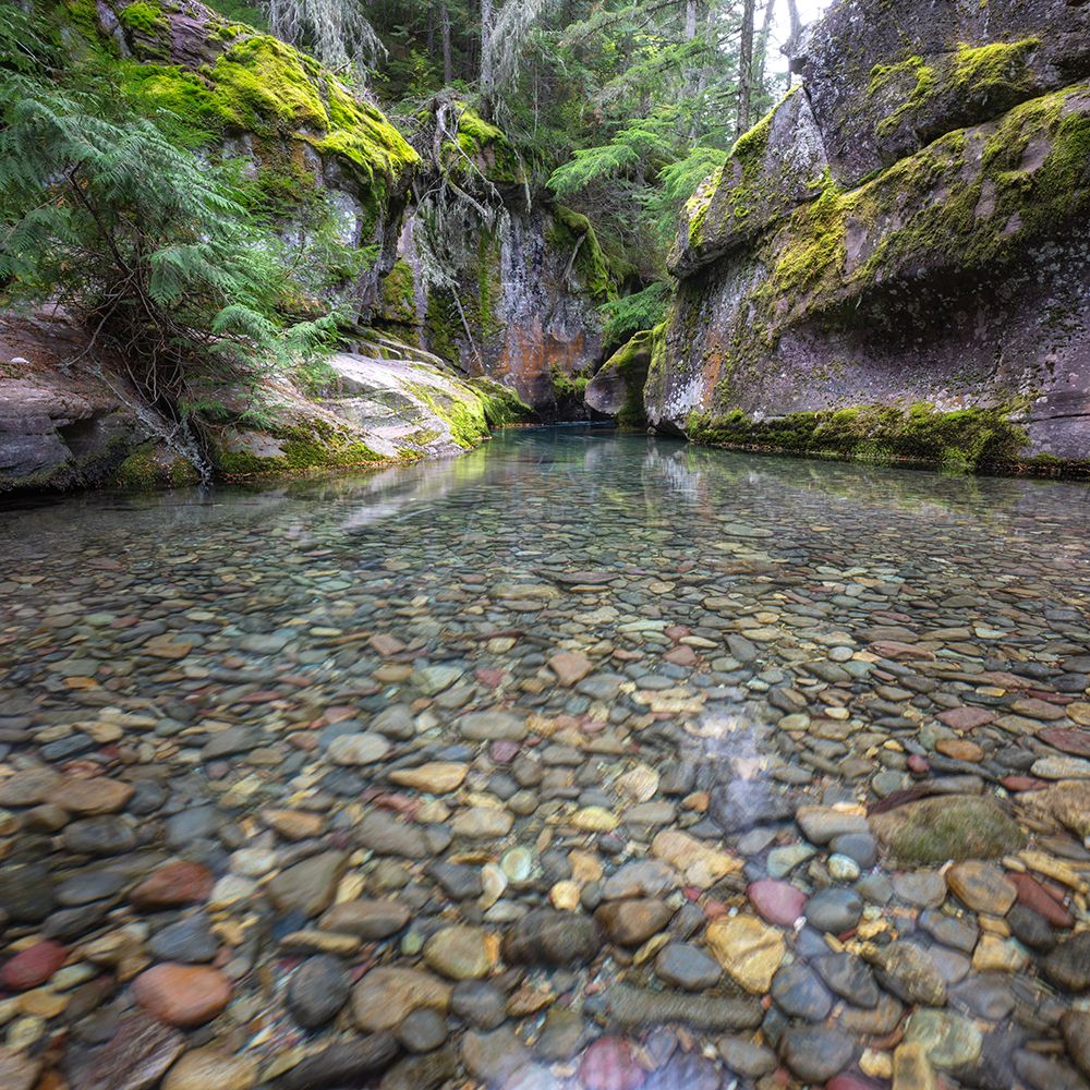 Clear Water I art print by Danny Head for $57.95 CAD