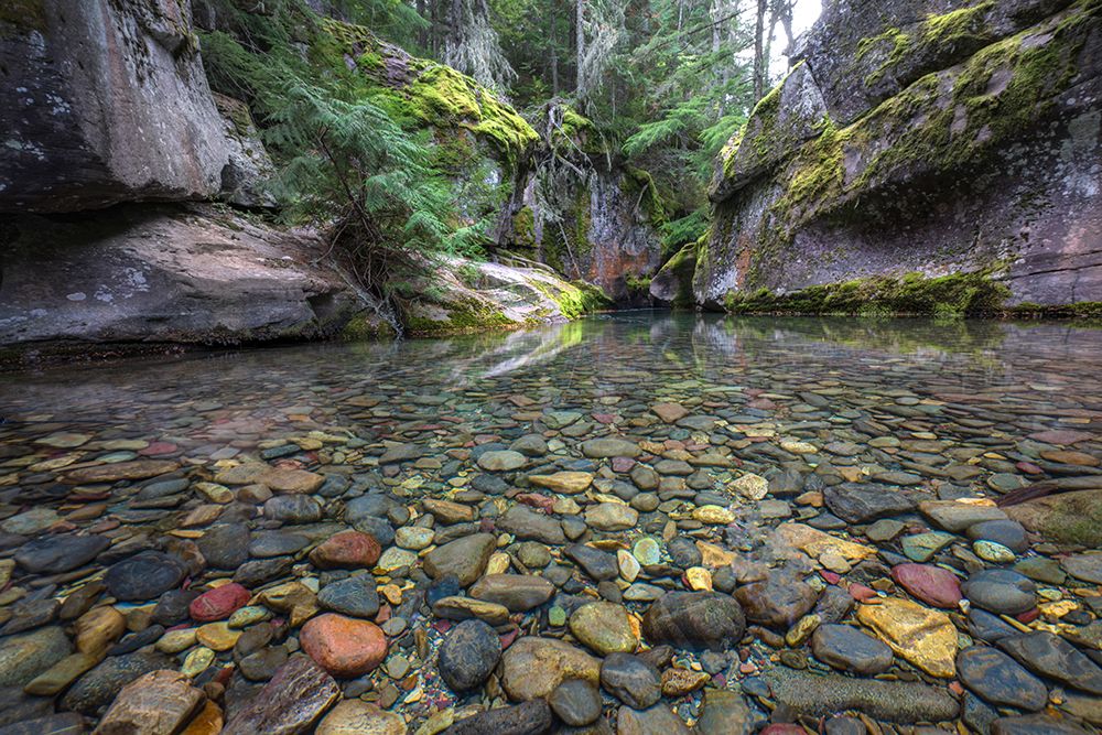 Clear Water II art print by Danny Head for $57.95 CAD