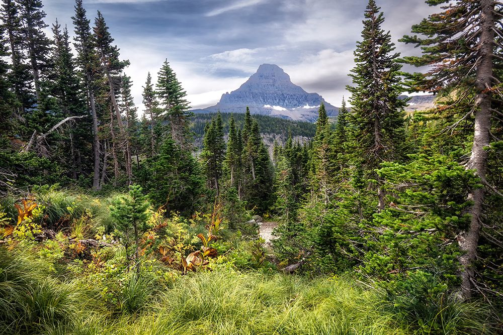 Chief Mountain art print by Danny Head for $57.95 CAD