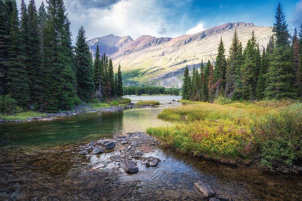 Moose Marsh I art print by Danny Head for $57.95 CAD