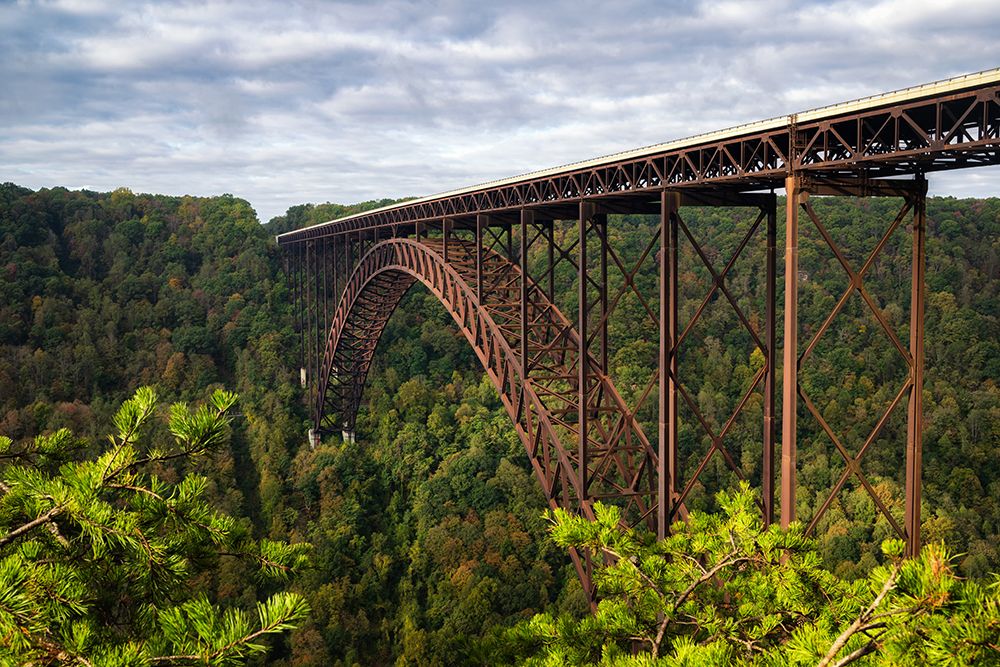 New River I art print by Danny Head for $57.95 CAD