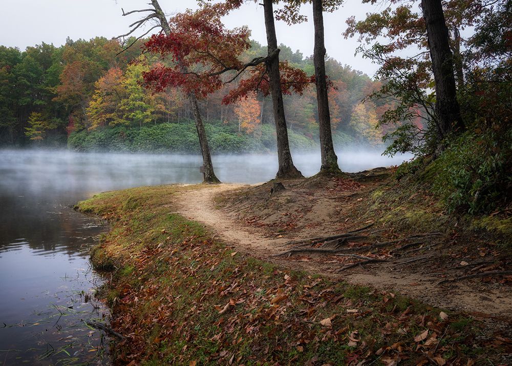 Lake Walk I art print by Danny Head for $57.95 CAD