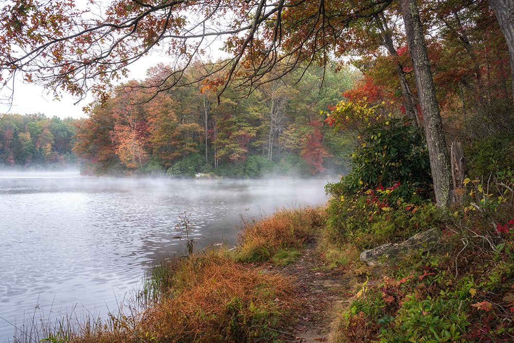 Lake Walk II art print by Danny Head for $57.95 CAD