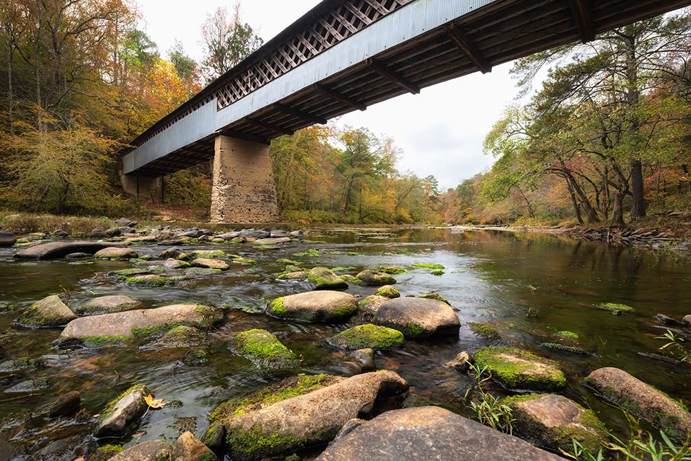 Under the Bridge art print by Danny Head for $57.95 CAD