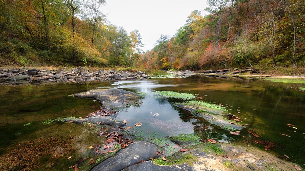 Down Stream art print by Danny Head for $57.95 CAD